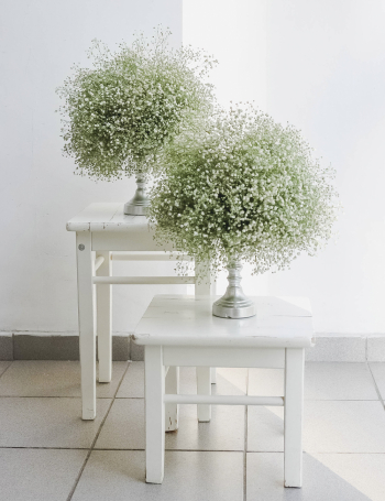 Композиция из гипсофилы WHITE