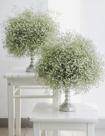 Композиция из гипсофилы WHITE