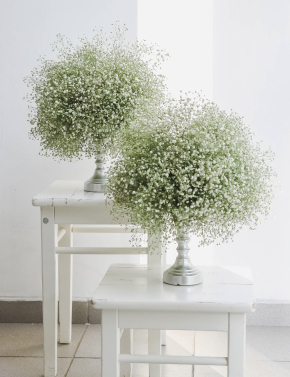 Композиция из гипсофилы WHITE