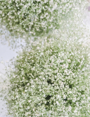 Композиция из гипсофилы WHITE