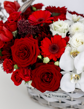 Корзина в цветовой гамме RED&WHITE